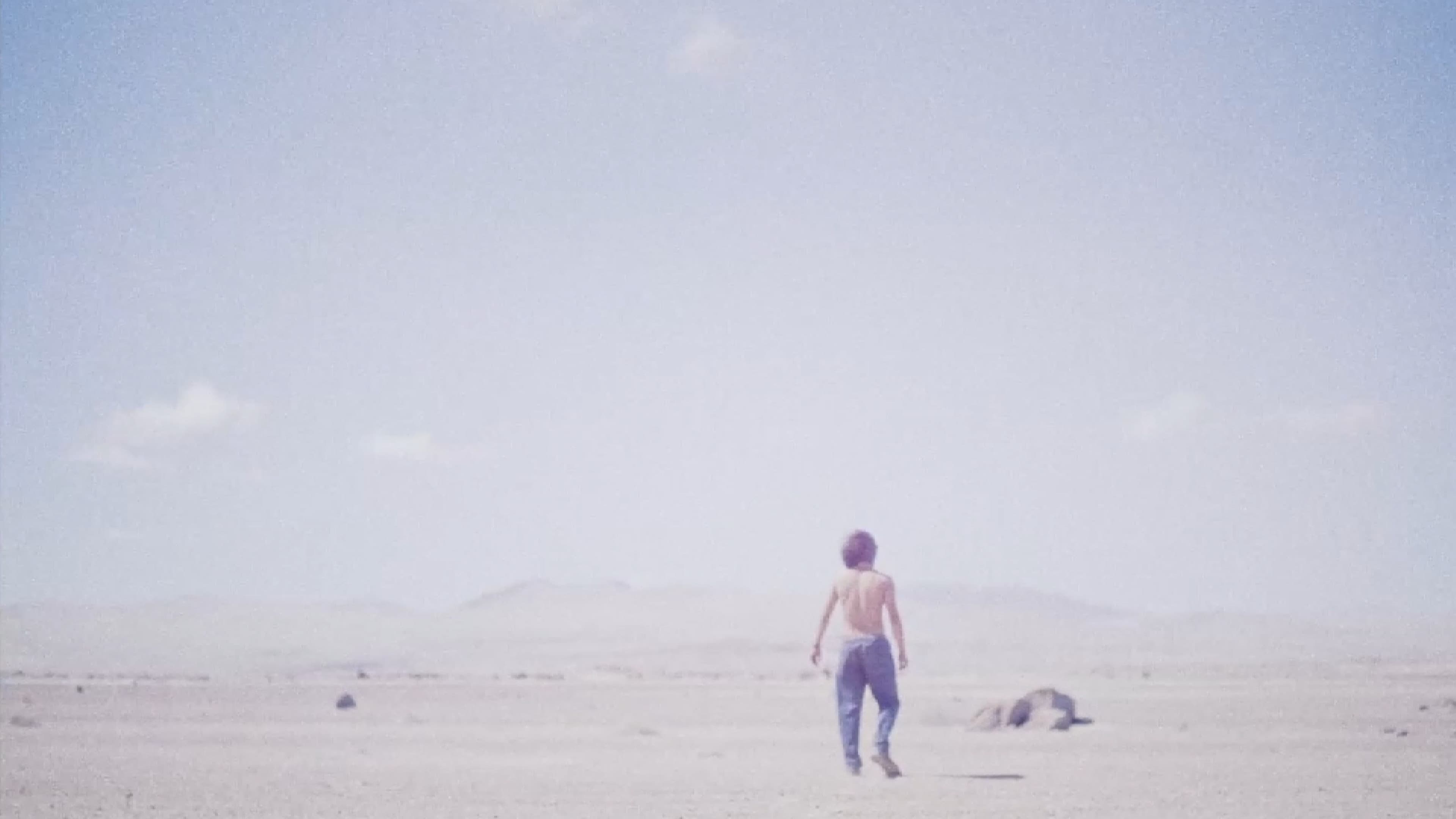 Desierto backdrop