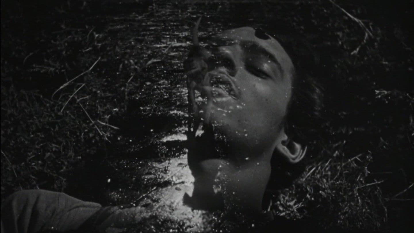 The Young and the Damned backdrop