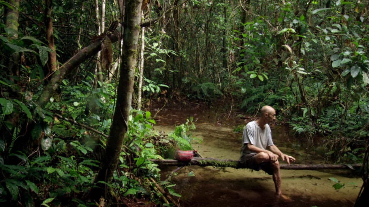 Song from the Forest backdrop