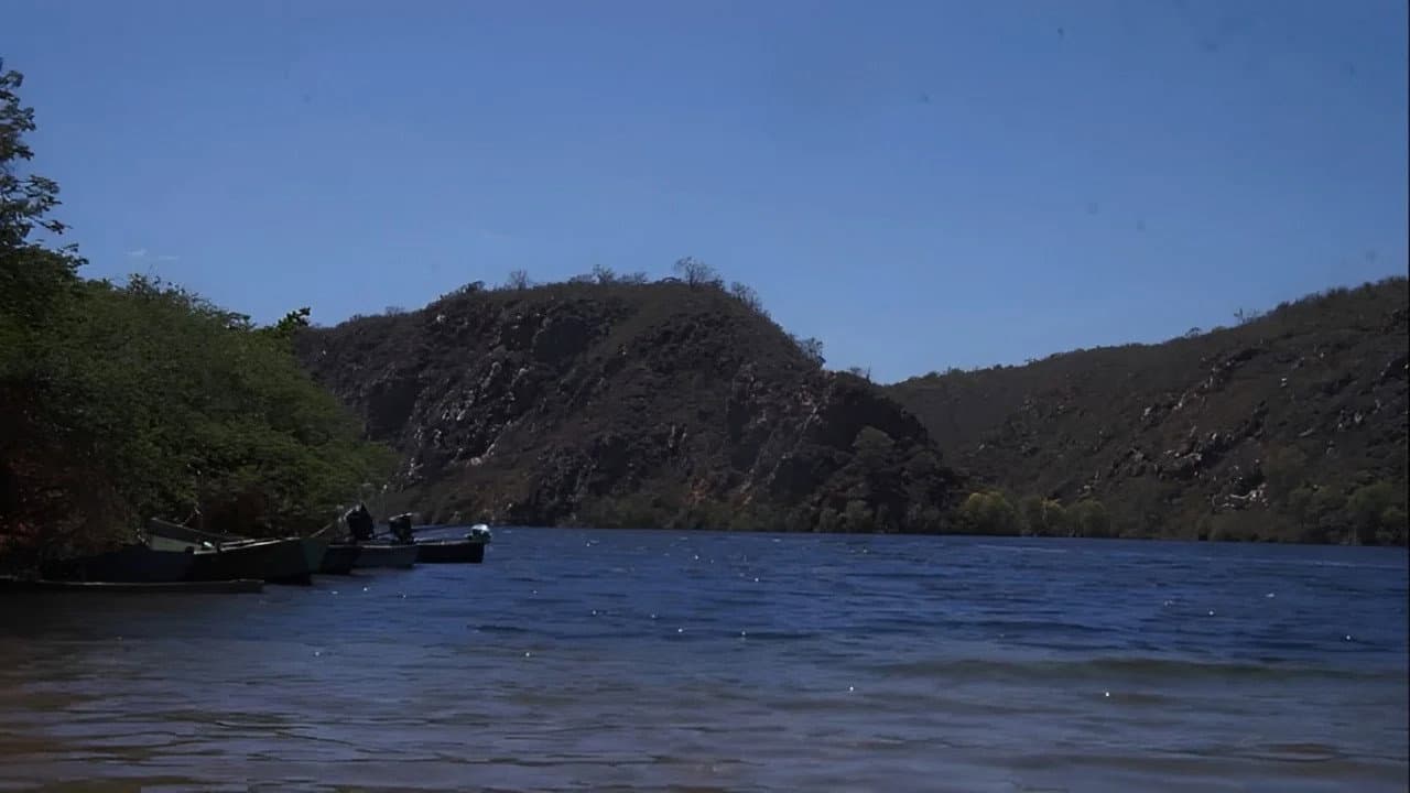 As Curvas da Estrada backdrop