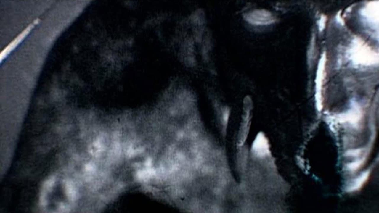 Kanashibara backdrop