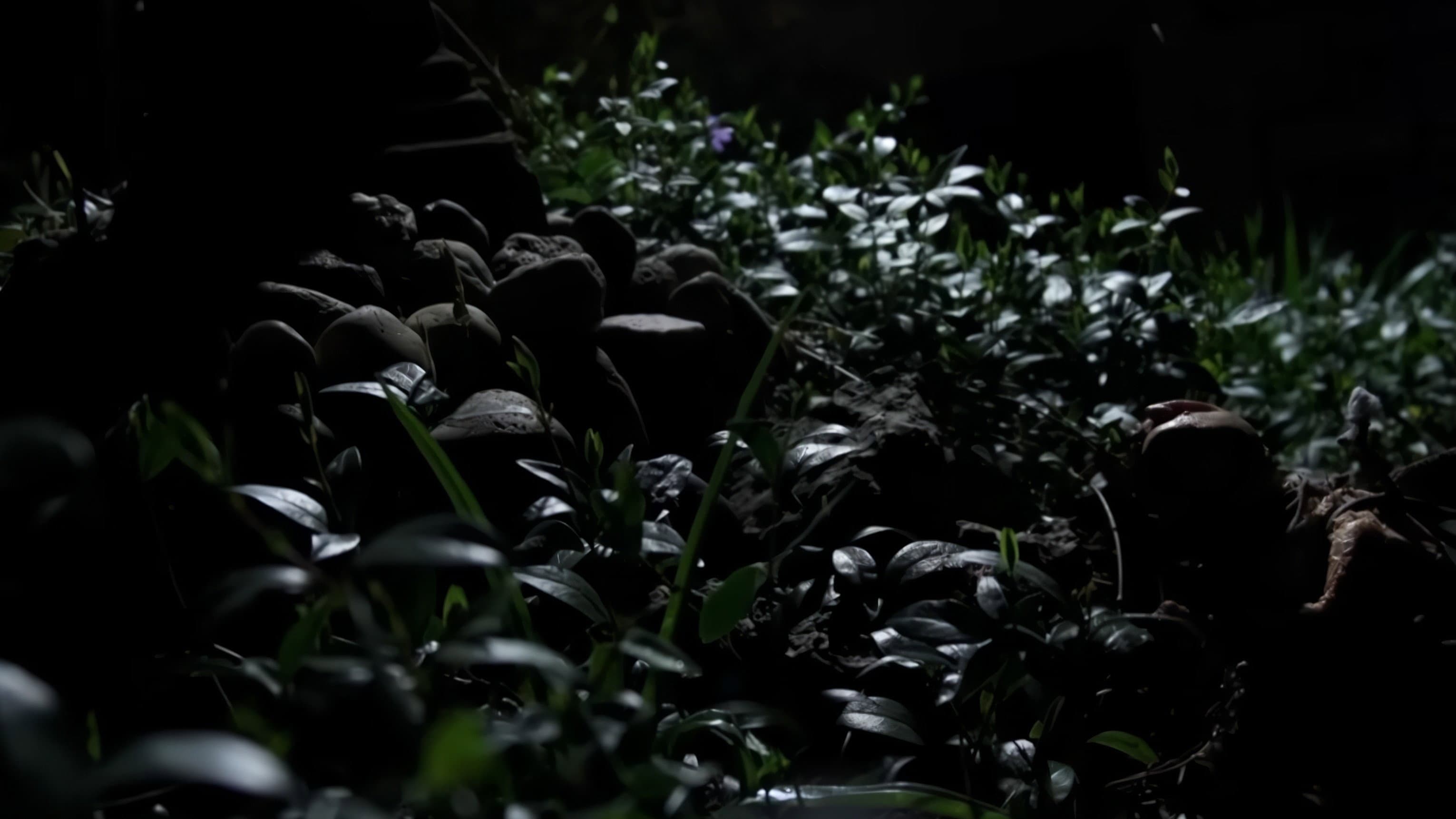 Gnome backdrop